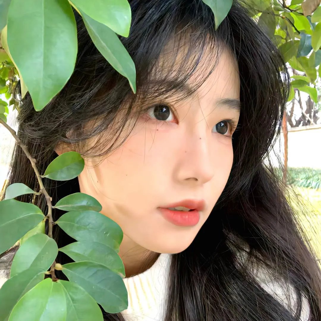 冰雪友情